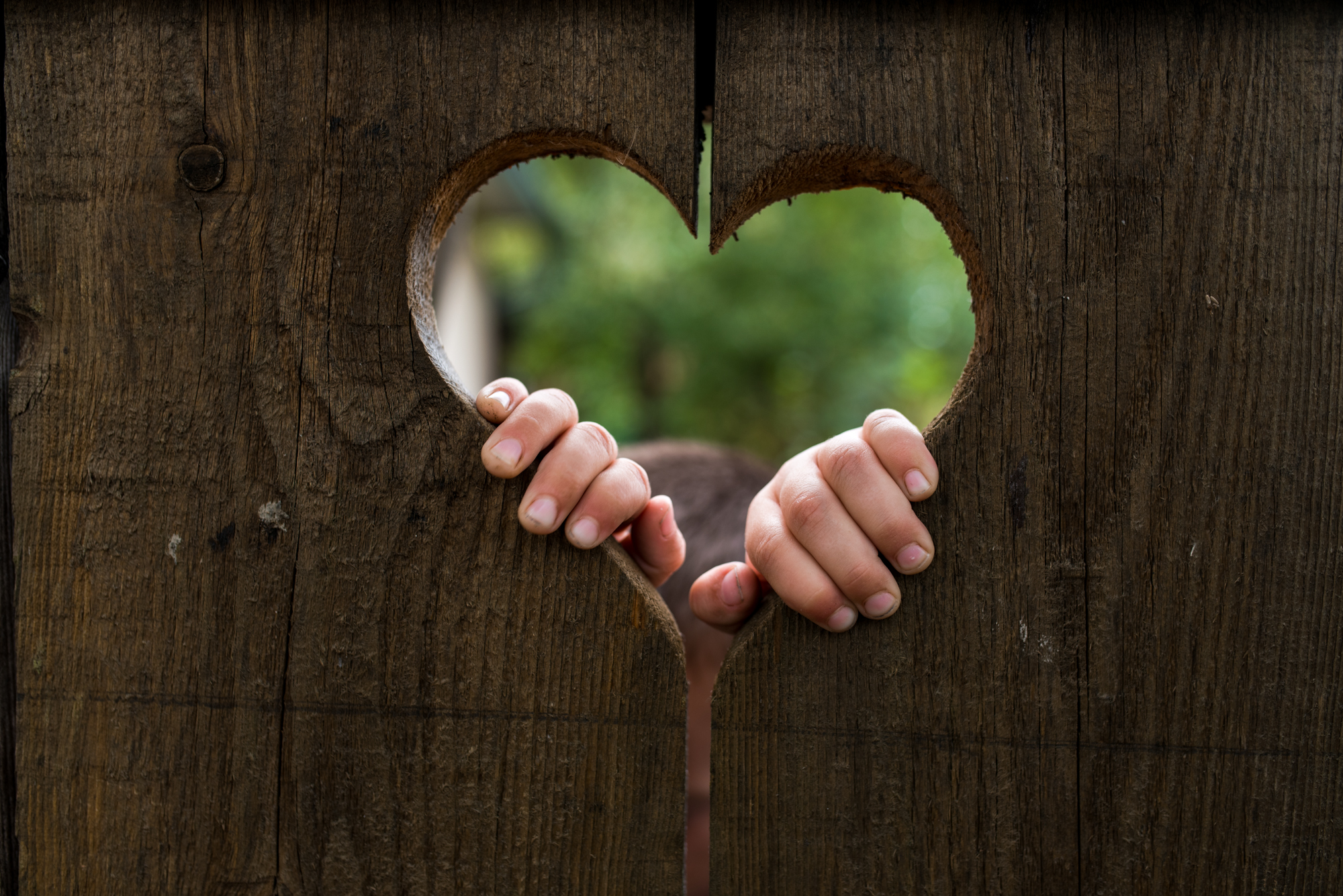 Obiteljska-dokufotografija-Zagreb-two little hands in the wooden heart
