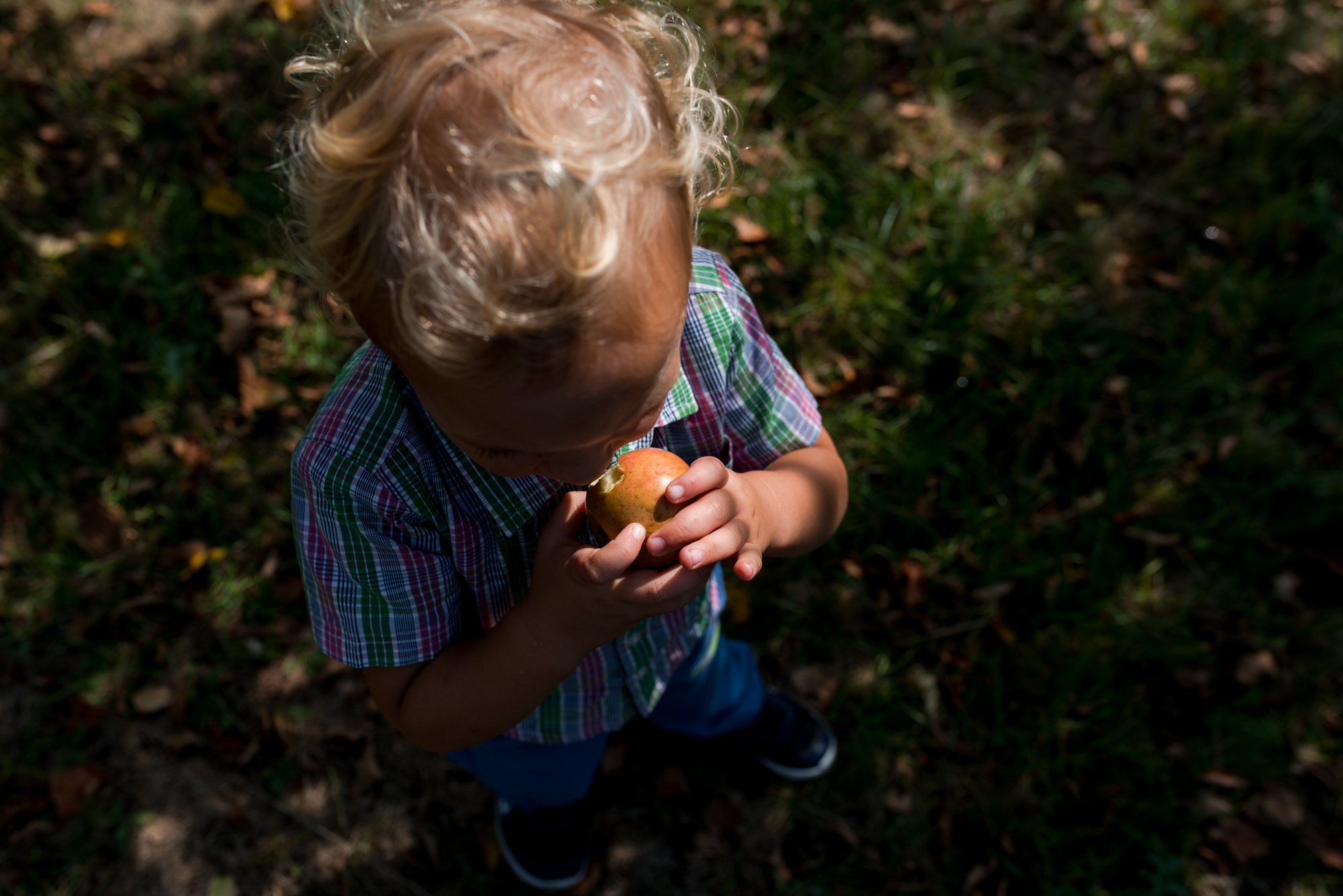 Obiteljska-dokufotografija-Zagreb-shadows and lights boy eating little apple