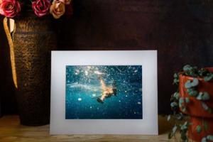 IVanaAleric artprint mockup floating