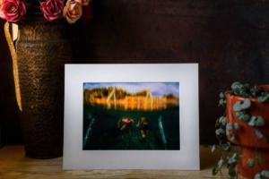 Obiteljska-dokufotografija-Ivana-Aleric-Zagreb-7418a