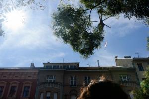 Vatreni-doček-croatia-2018-worldcup-MaMagare--doček-zagreb-2018-worldcup-MaMagare--dokufotografija-Zagreb-MaMagare-KidzPhoto-9095